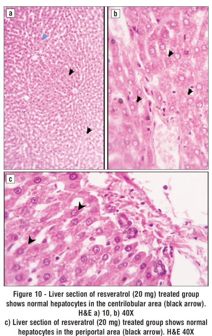 Figure 10