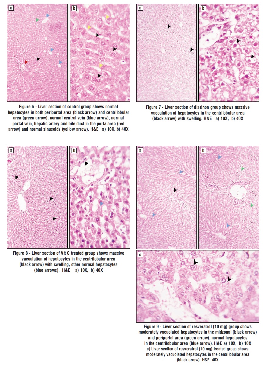 Figure 6-9