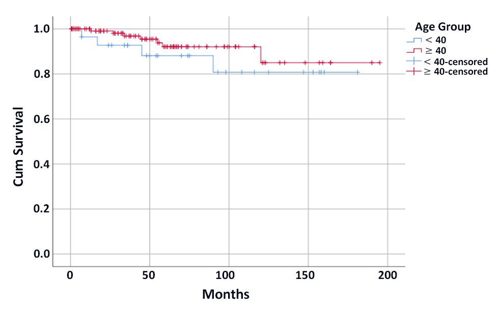 Figure 1 - Kaplan-Meier curve for disease-free survival among the two groups.