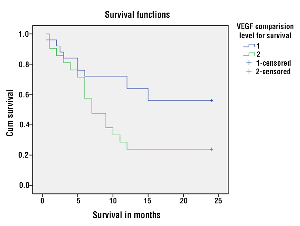 <strong>Figure 2 - Kaplan–Meier Survival Analysis</strong>