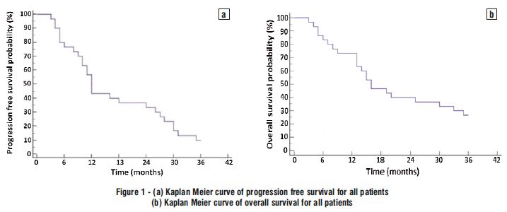 Figure 1 - (a) Kaplan Meier curve of progression free survival for all patients</strong><strong>; </strong><strong>(b) Kaplan Meier curve of overall survival for all patients