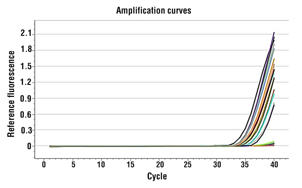 Figure  2 -  Amplification Chart for miRNA-210