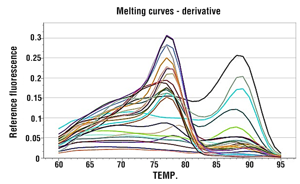 Figure  4 - Melting Curve Chart for miRNA-210