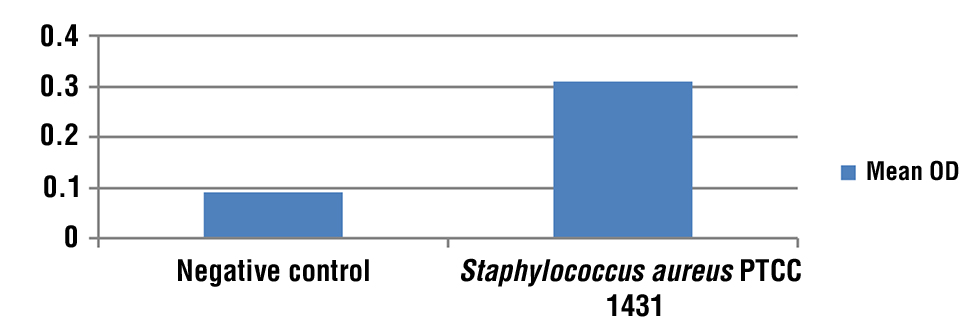 Figure 2 - Graph mean of OD for Staphylococcus aureus and Negative control.
