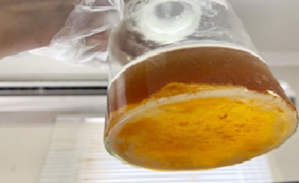 Figure 4 - Heavy growth of biofilm after culture bacteria four days.  