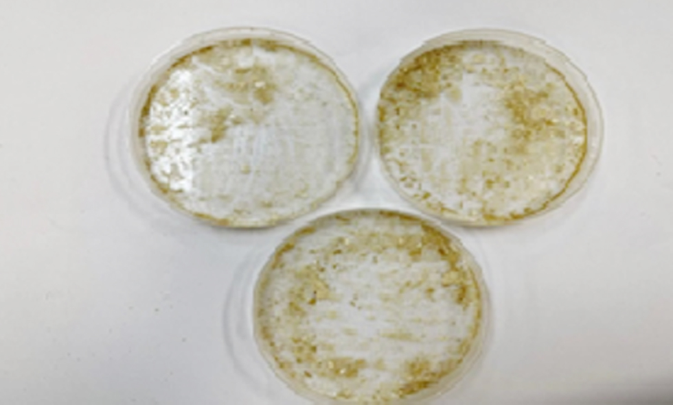 Figure 5 - The EPS after Extraction steps from biofilm.