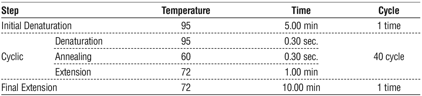 Table 1 - Protocol of PCR amplification.