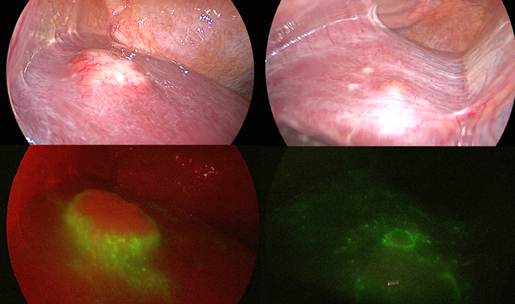 fig 4