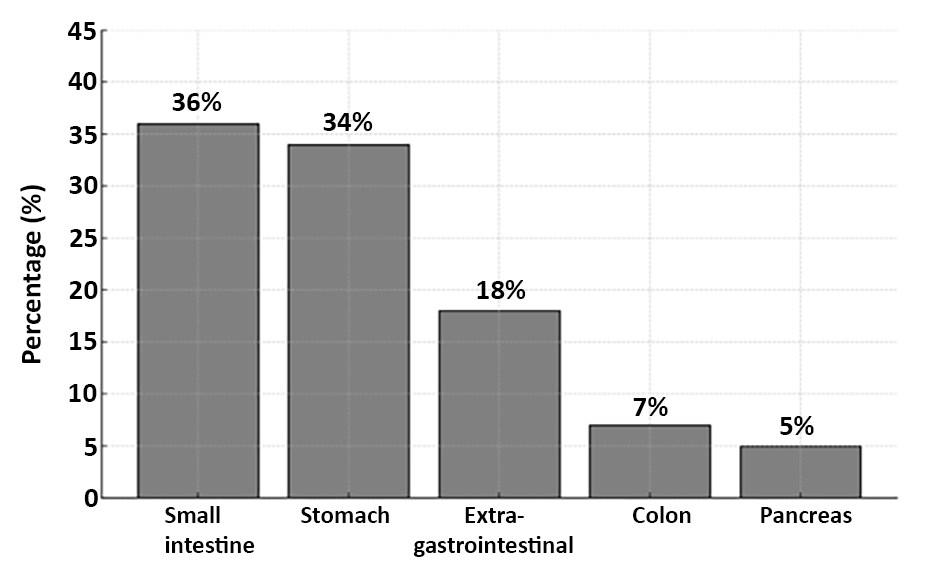 <strong>Figure 1 - Frequency Distribution of Tumor Localization in Gastrointestinal Stromal Tumors (GIST): This figure illustrates the relative frequency (%) of GIST tumor locations within the patient cohort (n=49), showing the small intestine as the most common site, followed by the stomach, extragastro-intestinal sites, colon, and pancreas. GIST refers to Gastrointestinal Stromal Tumors.</strong>